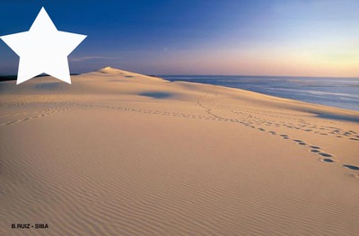 dune du pyla Fotomontáž