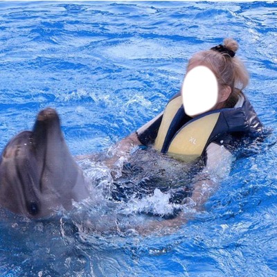 Игра с дельфином Фотомонтажа