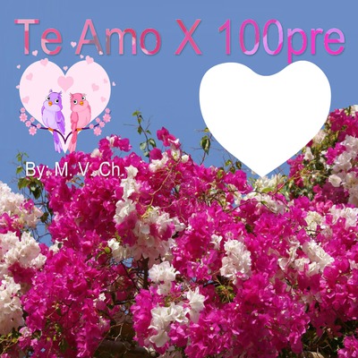 Te Amo X 100pre Photo frame effect