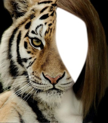 Tiger Fotomontaggio