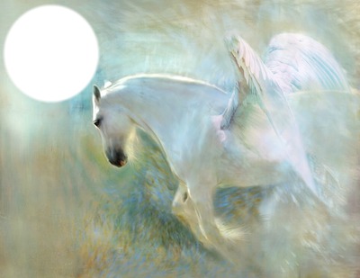 ANGEL HORSE Photo frame effect