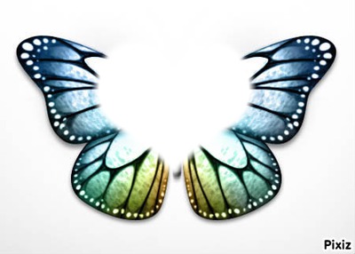 papilon Фотомонтаж