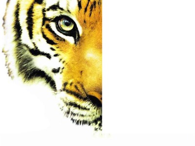 Moitier de tigre gauche Fotomontáž