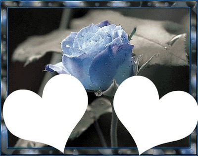 2coeurs rose bleue laly Valokuvamontaasi