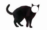 gato negro Фотомонтажа