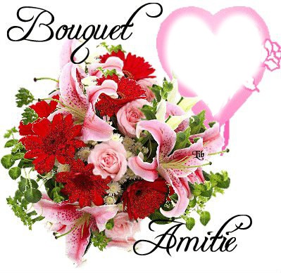 bouquet amitié Fotoğraf editörü