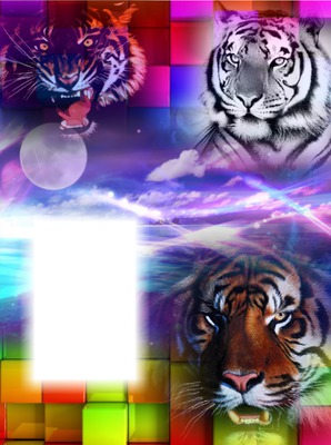 "fantasy met tijgers" Fotomontage
