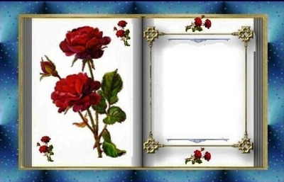 livre de roses Photo frame effect
