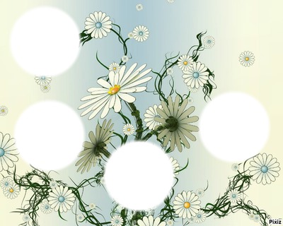 Fleur Blanc Montaje fotografico