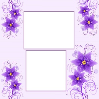 marco y flores lila, 2 fotos. Montaje fotografico
