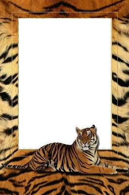 Tigris Photo frame effect