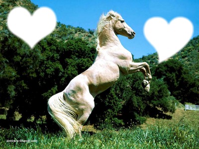 coeur cheval Fotomontaggio