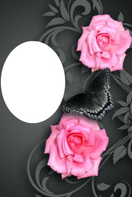 roses & butterfly Photo frame effect