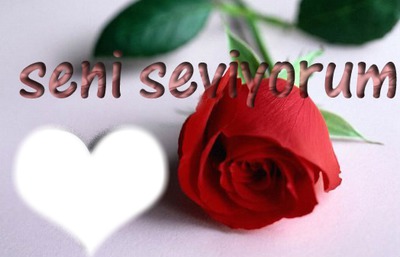 seni seviyorum Fotomontage