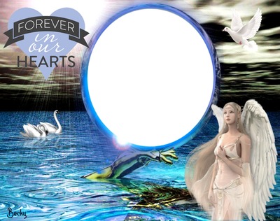 forever in our hearts Montage photo