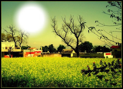 Basant Panchami Fotomontaggio