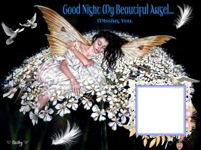 good night in heaven Montage photo