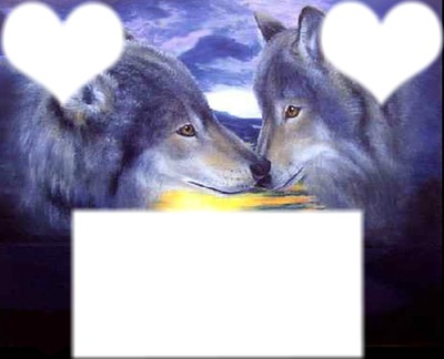 Loup st-valentin Photo frame effect