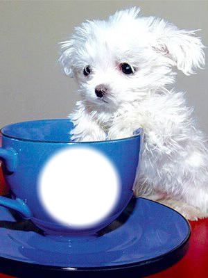 Cup and Dog Photomontage