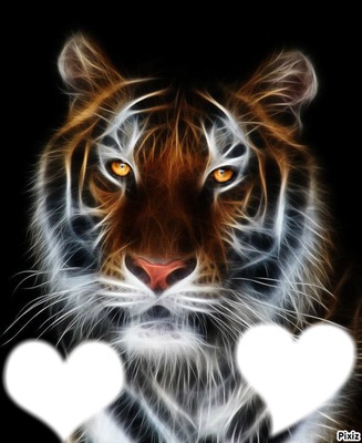 tigre avec coeur Valokuvamontaasi