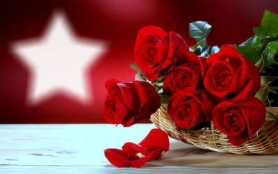 vörös rózsa Photomontage