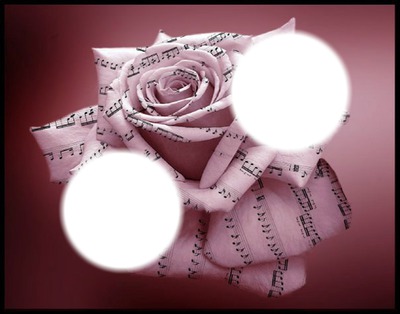 rose musicale Fotomontage