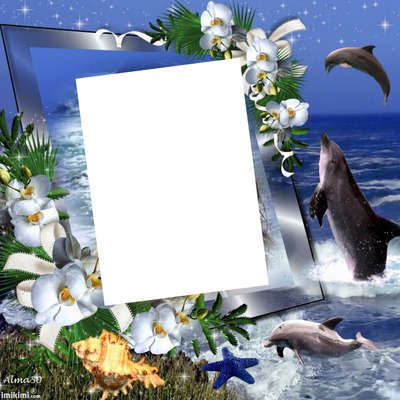 delfines Montaje fotografico