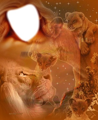 les lions Photomontage