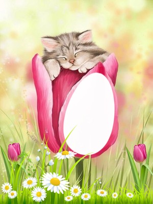 Cc Tulipán con gatito Fotómontázs