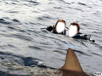 requin Fotomontāža