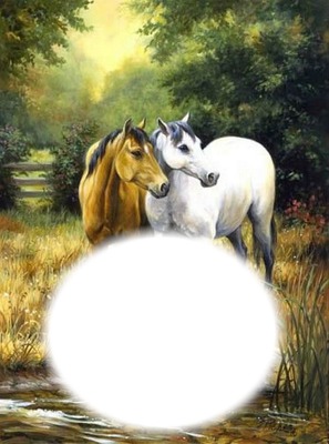Couple de chevaux Photo frame effect