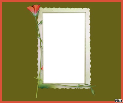 coquelicot Photo frame effect