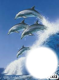 les dauphins Fotómontázs