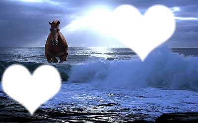 cheval qui cour dans la mer Fotomontaggio