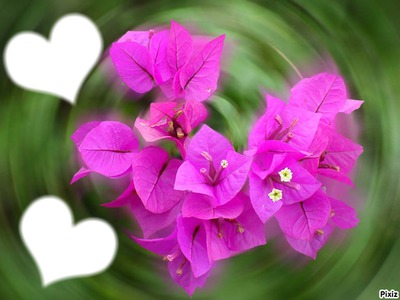 Coeur de fleurs Montaje fotografico
