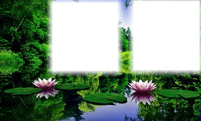 lotusz Fotomontage