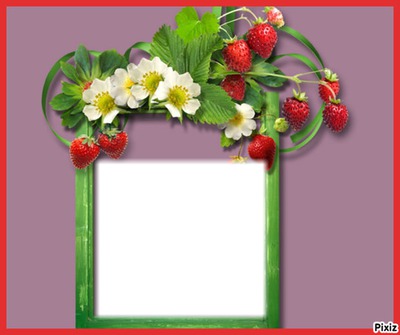 fraises Photomontage