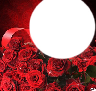roses rouge Montage photo