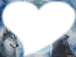 amour pour les loups Fotomontaggio
