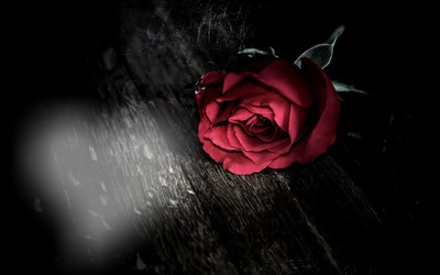 róża Fotomontāža