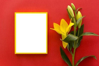 marco y lirio amarillo, fondo rojo. Photomontage