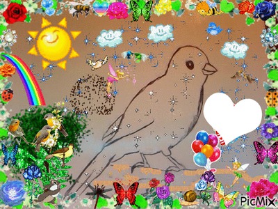 CANARI BLANC dessiné par GINO GIBILARO avec soleil,coeurs,fées,arc-en-ciel, ... Φωτομοντάζ