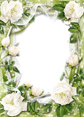 Rose blanche Photo frame effect