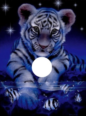 tigre bleu Fotómontázs
