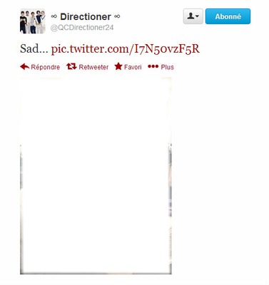 Twitter One Direction Montaje fotografico