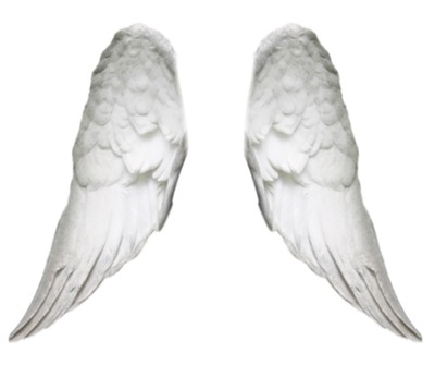 ailes d'ange Fotomontage