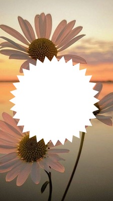 marco para una foto, fondo flores. Fotomontaža