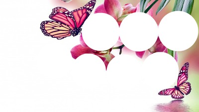 papillons Фотомонтаж