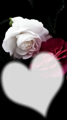 zwei Rosen mit Herz Montaje fotografico