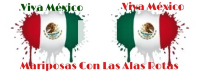 Viva mexico Photo frame effect